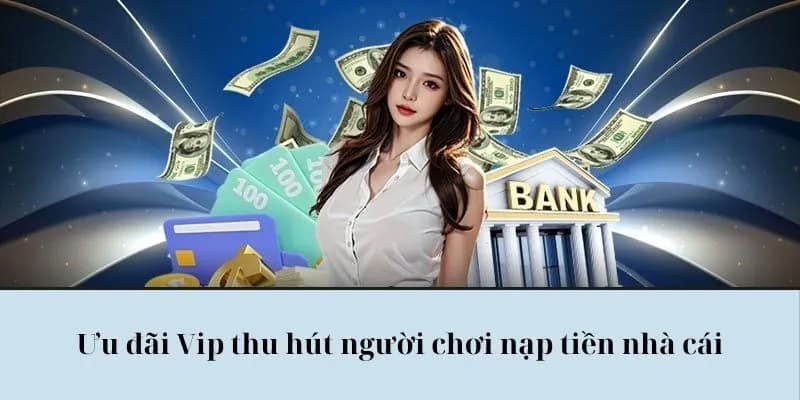 Hướng dẫn tận dụng tối đa ưu đãi VIP Manclub